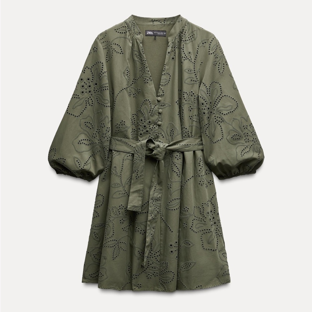 Zara Dress with Rubberish Embroidery